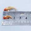 5Pcs Dollhouse Miniature Model Fish Carp Simulation Animals Kids Toys Figurines