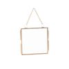 DIY Metal Small Photo Frame Glass with Transparent Glass Flower Plant Specimen Frame Hanging Picture Holder Home Office Decor