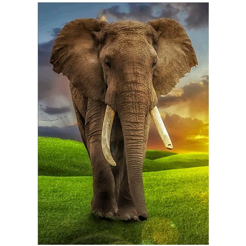 

DIY 5D Полный Круглый Дрель Алмазная Картина Вышивка Крестом Комплект Главная Стена Декор Ремесло