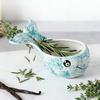 Herb Stripper Bowl Resin Herbal Peeling Bowl with 4 Size Holes Blue Whale Shape Pottery Herb Peeler for Removing Leaves from Thyme Rosemary