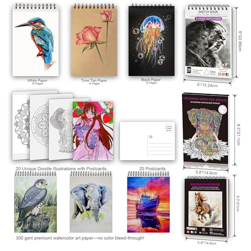 HIFORNY Drawing & Sketching Set, 136-Piece Professional Art Supplies: Graphite, Charcoal, Color, Watercolor, and Metallic Pencils, Blending Tool, Sket