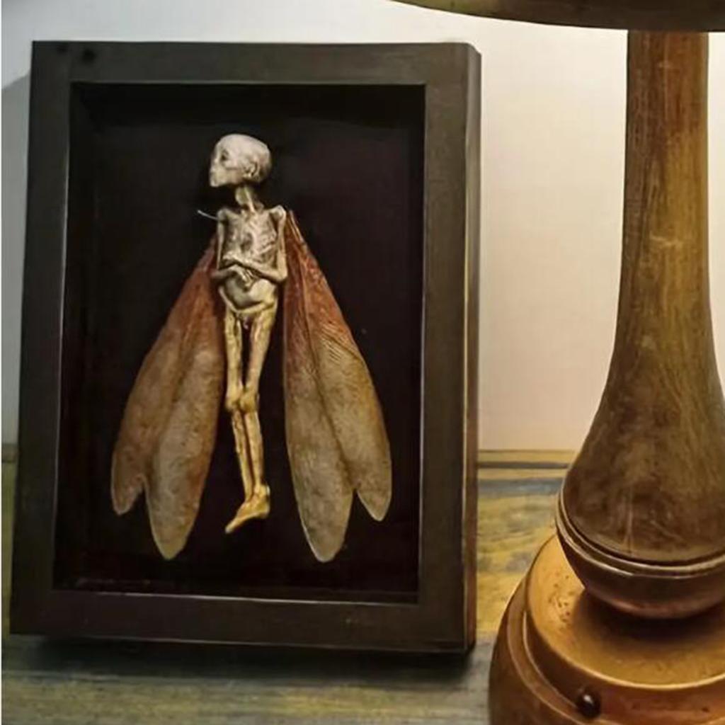 1 Skeleton Moth Decoration, Mysterious Ghost Specimen Photo Frame, Photo Frame Decoration, Halloween Decoration