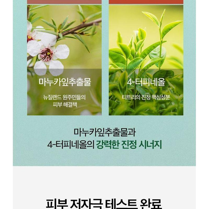 HOLIKA HOLIKA - Acnenator Clearing Cleansing Foam