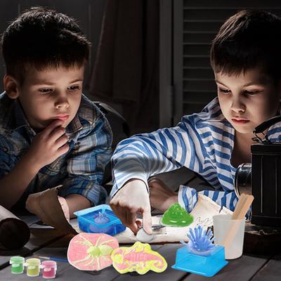 1Set Glowing Slime Multifunctional Stimulate Learning Curiosity Plastic Luminous Crystal Experiment