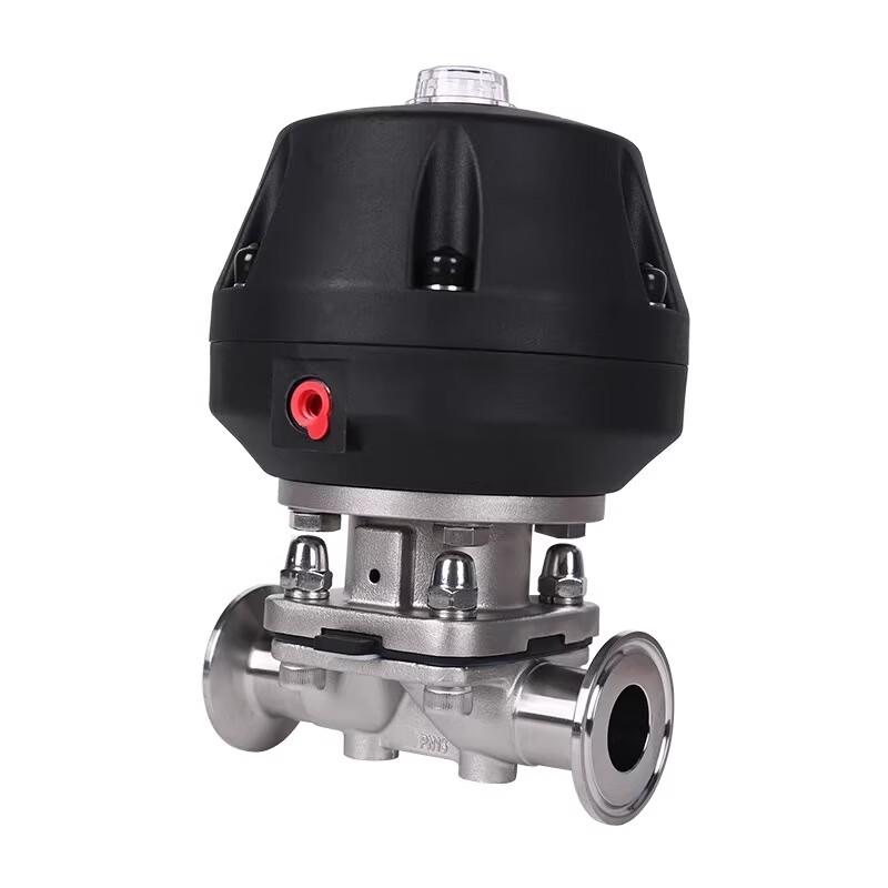 Langsaizebo 316L Sanitary Pneumatic Diaphragm Valve