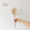 Wabi-Sabi Retro Floral Arrangement with Eucalyptus & Reed Grass for Home Decor & Photography