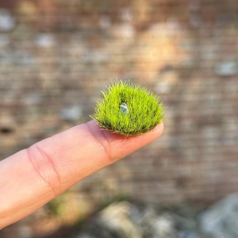 Realistic Miniature Landscape Lawn Model Natural Look Static Grass Cluster  Building Models