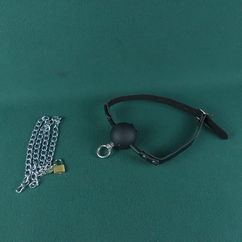 Lockable Anti-Vomiting Dog Muzzle Gag - Large Size with One-Word Strap for Kinky Outdoor Use