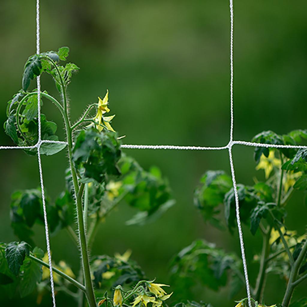 Nylon Netting Garden Climbing Plant Net Fence Green Support Plant Climbing Net