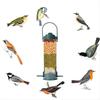 BHBL Proof Wild Bird Feeder with Weight Activated Rotating Perch - Seed Capacity
