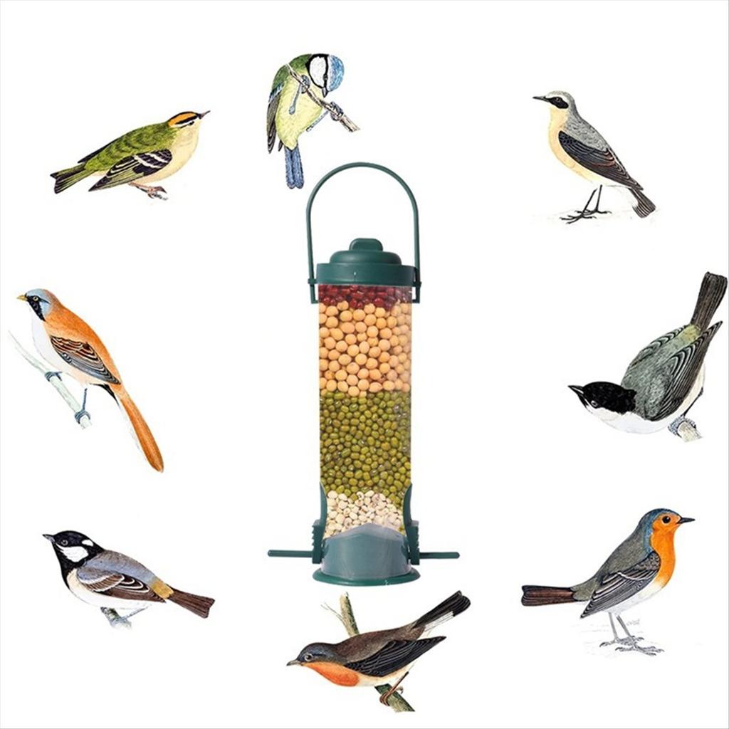 BHBL Proof Wild Bird Feeder with Weight Activated Rotating Perch - Seed Capacity