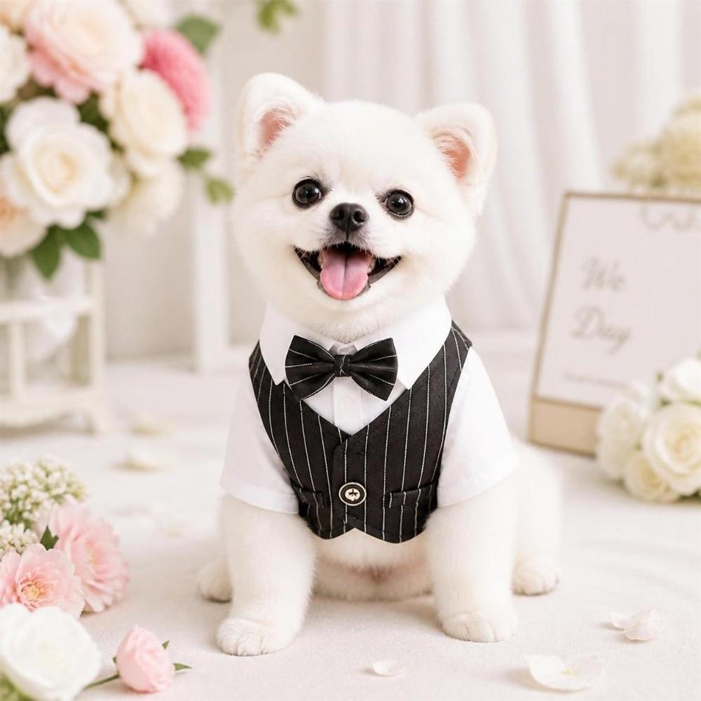 Short Sleeve Dog Wedding Suit Button Closure Small Dog Clothes Dog Costume Vest  Wedding Ceremony