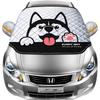 Compact Car Windshield Sunshade and Heat Insulation Visor