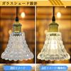 Glass Pendant Light with LED Floral Nordic Retro E26 for Ceiling Hook Stylish Interior Ceiling Ambient Dining Room Lighting Ceiling Hook LED Bulb Warm