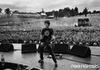 Foo Fighters - Dave Live Crowd - Photo Poster Insert