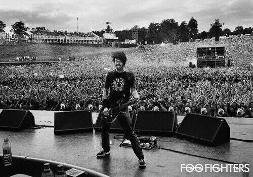 Foo Fighters - Dave Live Crowd - Photo Poster Insert