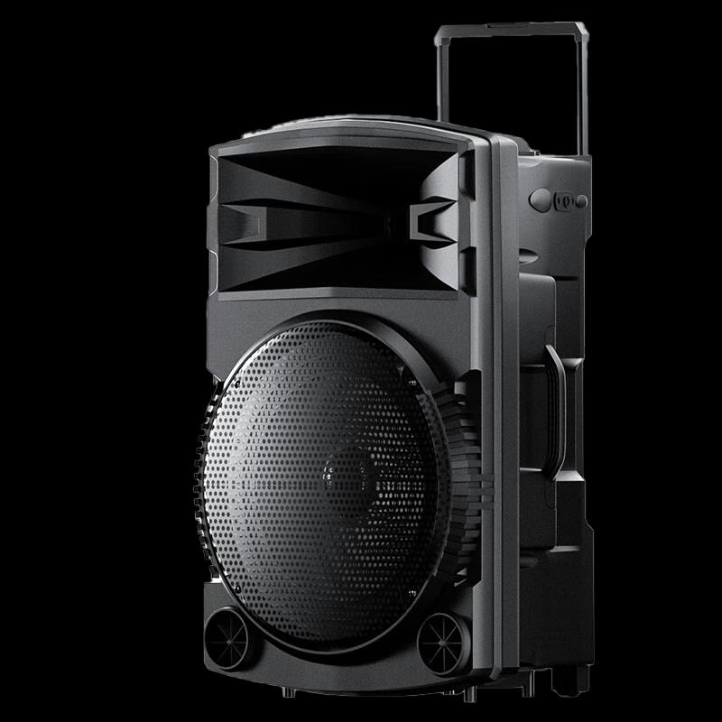 Newmine N522 Portable Trolley Speaker with Dual Mics CN Plug (adapter Included)