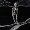 Mini Skeleton 15cm Realistic Decoration For Halloween Parties And Haunted Houses