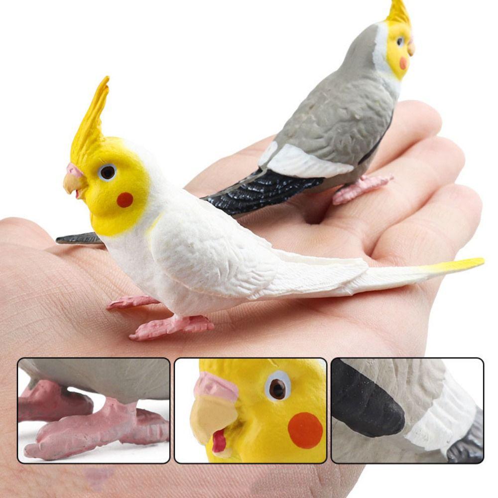 Cute Bird Sculpture Educational Parrot Ornament Bath Toys Simulation Parrot Figurine  Home Garden
