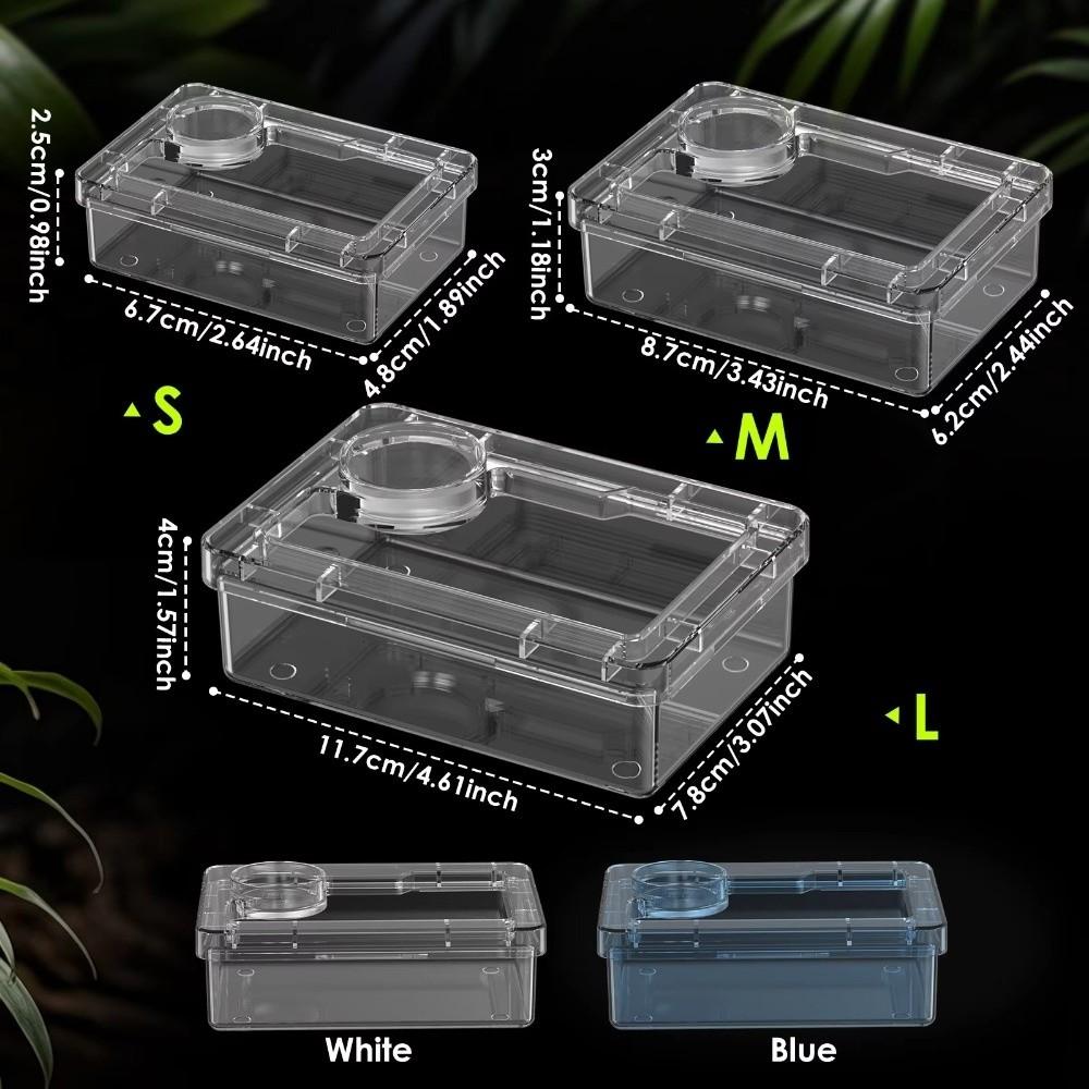 Reptile Lizards Geckos Feeding Bowls Prevent Tenebrio Molitor and Blaptica Dubia Anti Overturning Trough Feeder Transparent