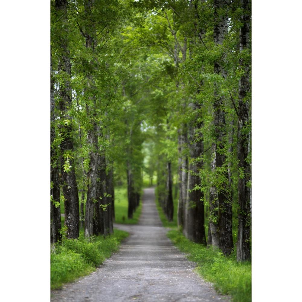 Spring Natural Scenery Forest Photography Backdrop Tropical Jungle Green Forest Tree Adventure Baby Portrait Photo Background
