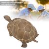 Vivid Animal Model Simulation Elephant Tortoise Toy Early Education Solid Toy for Kids