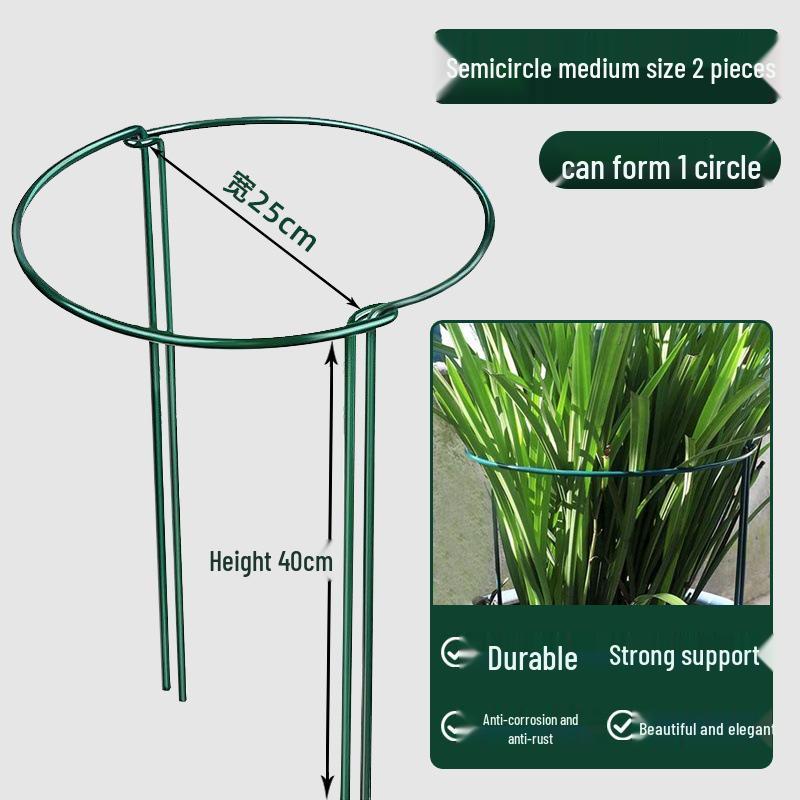 Newcomer Exclusive Flower Stand: Support Rod & Protection Frame for Money Tree