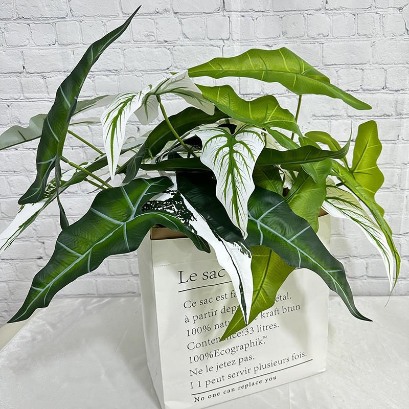 Alocasia Odora Plastik Grünpflanze mit lebhaften Blattfarben für Hochzeitsveranstaltungen und Heimgebrauch