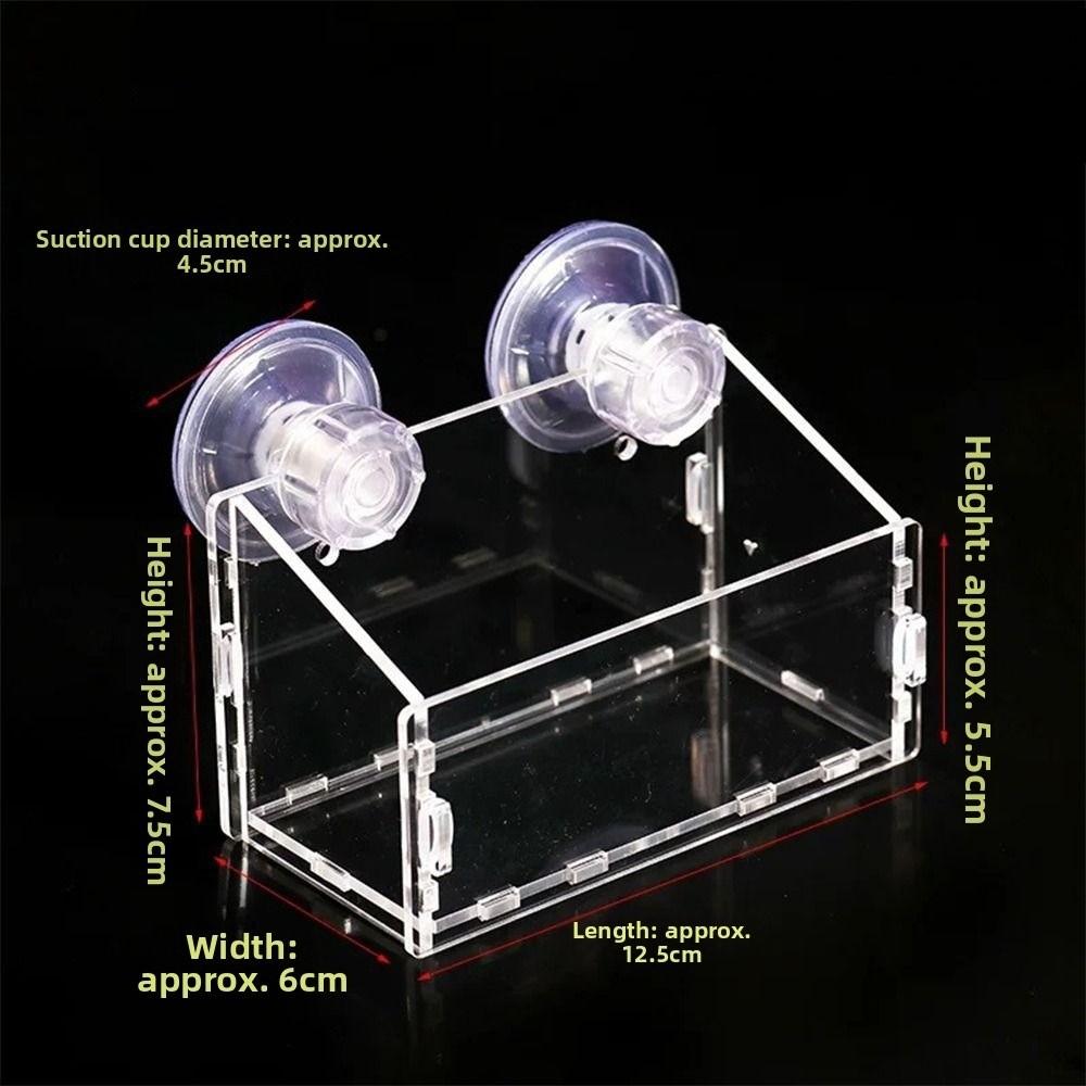 Suction Cup Mount Aquatic Plant Cup Acrylic Hanging Fish Tank Pot  Aquatic Plants