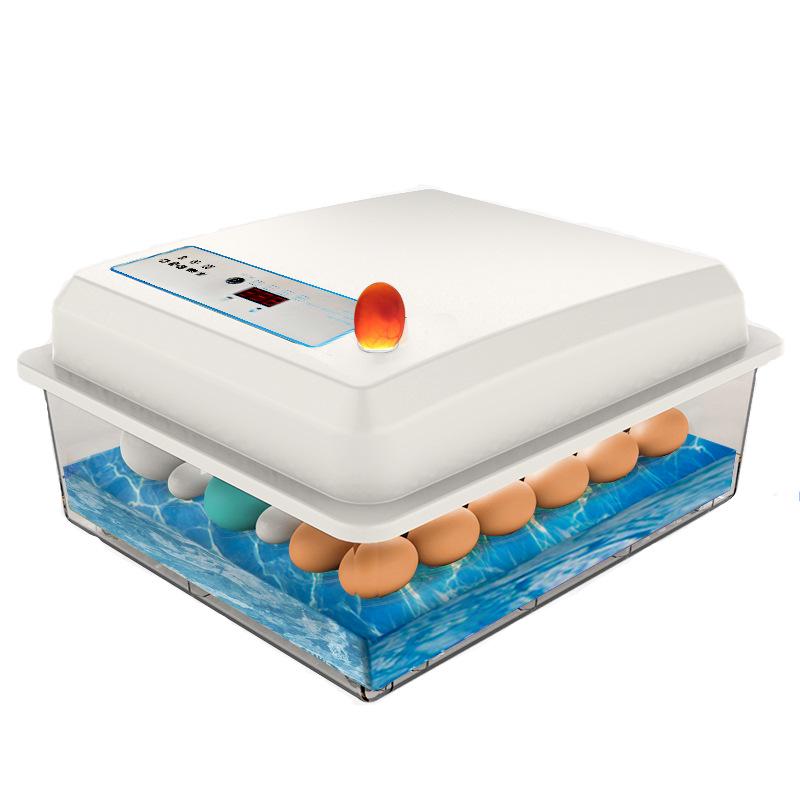 Weida Fully Automatic Small Incubator for Chicken, Duck, Goose, Pigeon, and Peacock Eggs