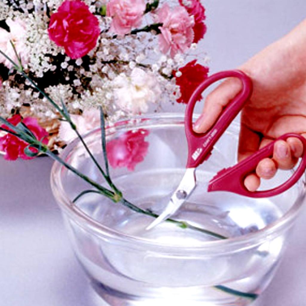 ARS Corporation ARS Craft ARS Nouveau Scissors, (Black) 3000-BK