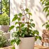 Strong Load Bearing Plant Fixed Frame Iron Plant Climbing Trellis  Greenhouse