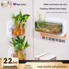 Transparent Wall-Mounted Plant & Fish Tank for Office/Living Room Décor