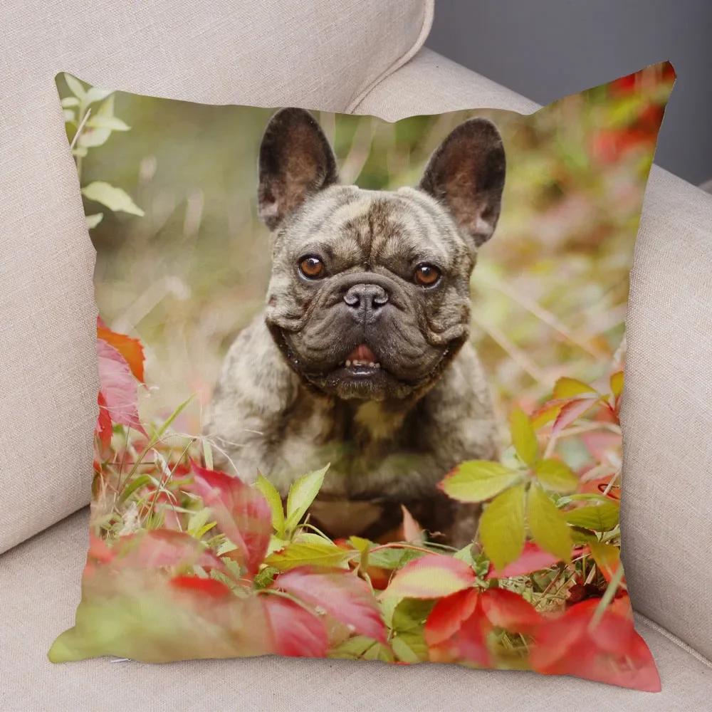

Домашний Декор Милый Питомец Мини Французский Бульдог Наволочка Диван Автомобиль Украшение Животное Собака Наволочка С Принтом 40x40cm красный