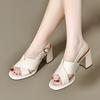 Fish Mouth Sandals Summer New European and American Style Thick Heel Cross Sandals Two High Open Toe Fashion Shoes