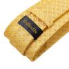 Tie Set for Men Golden Striped Paisley Necktie Silk Tie Pocket Square Cufflinks for Wedding Party