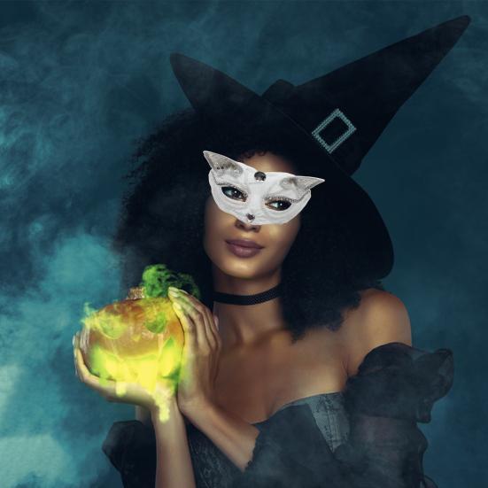 Halloweenská kočičí maska Poloviční obličej Krajková maškarní maska Kočka Liška Zvíře Cosplay Kostým pro Karnevalový ples Party Doplňky