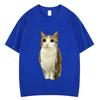 Cat Owl Funny Meowl Meme Brainrot Graphic Tshirts Unisex Unisex Fashion Short Sleeves Tshirt Cotton Oversized T Shirts Streetwear