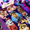 PAW Patrol Print Rug, Washable Floor Carpet, For Entryway Dorm Laundry Room Office Study, Home Decor Birthday Christmas Gift
