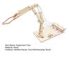 1 Set Lehrdemonstrationsspielzeug Logisches Denken Neuheit Stimulieren Sie die Vorstellungskraft Hydraulischer Roboterarm Physikalisches Spielzeug Kinderspielzeug