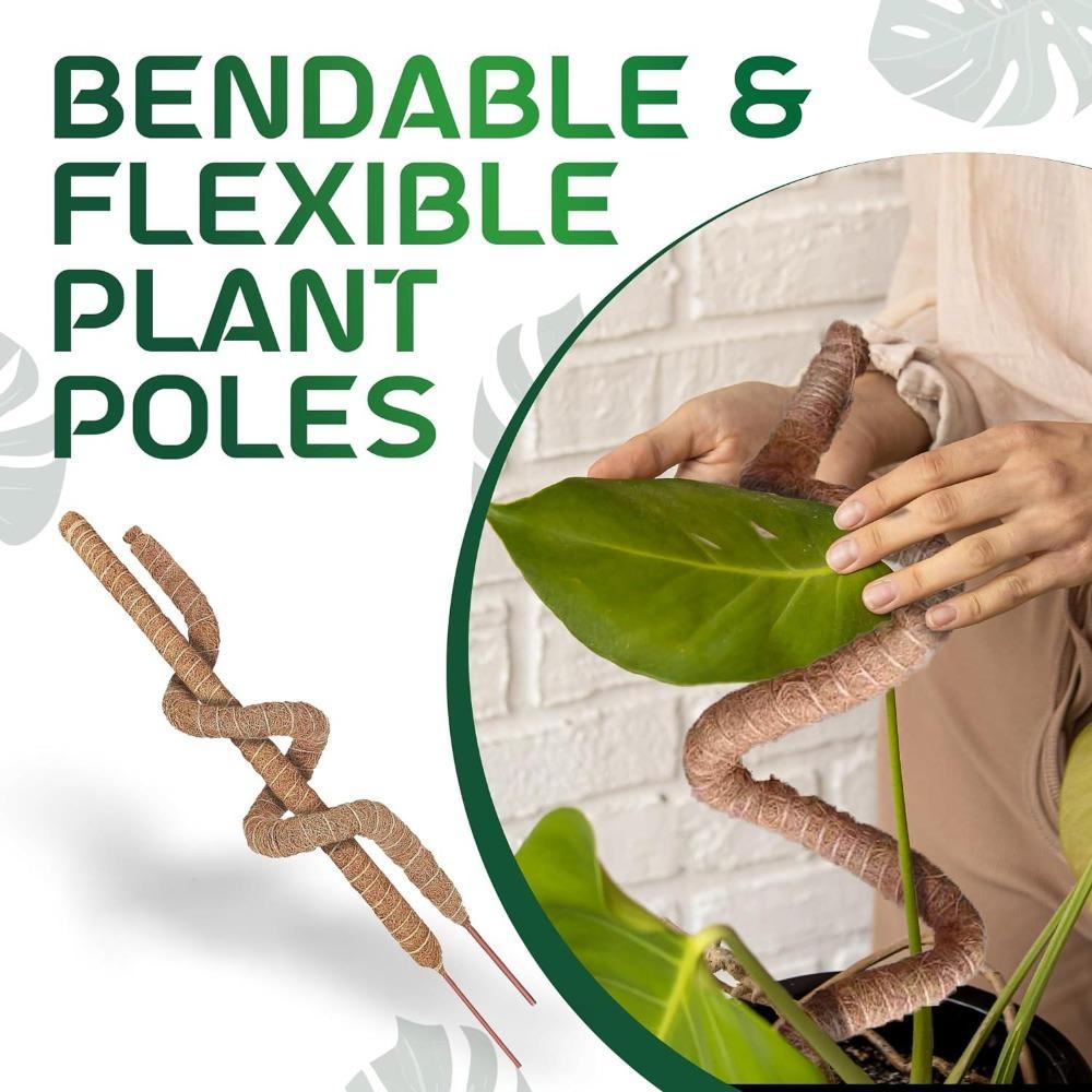 Diy Modeling Plant Climbing Poles Can Be Bent At Will Coconut Palm Rods Free Shaping Column Moss Gardening