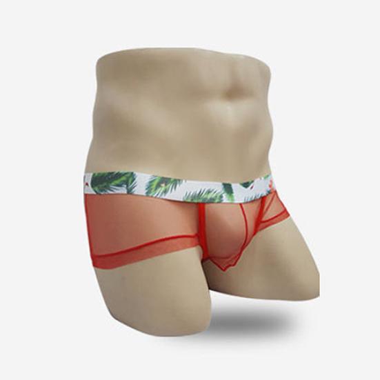 Men's Fashion Sexy See-through Underpants U Convex Thin Mesh Briefs Underwear