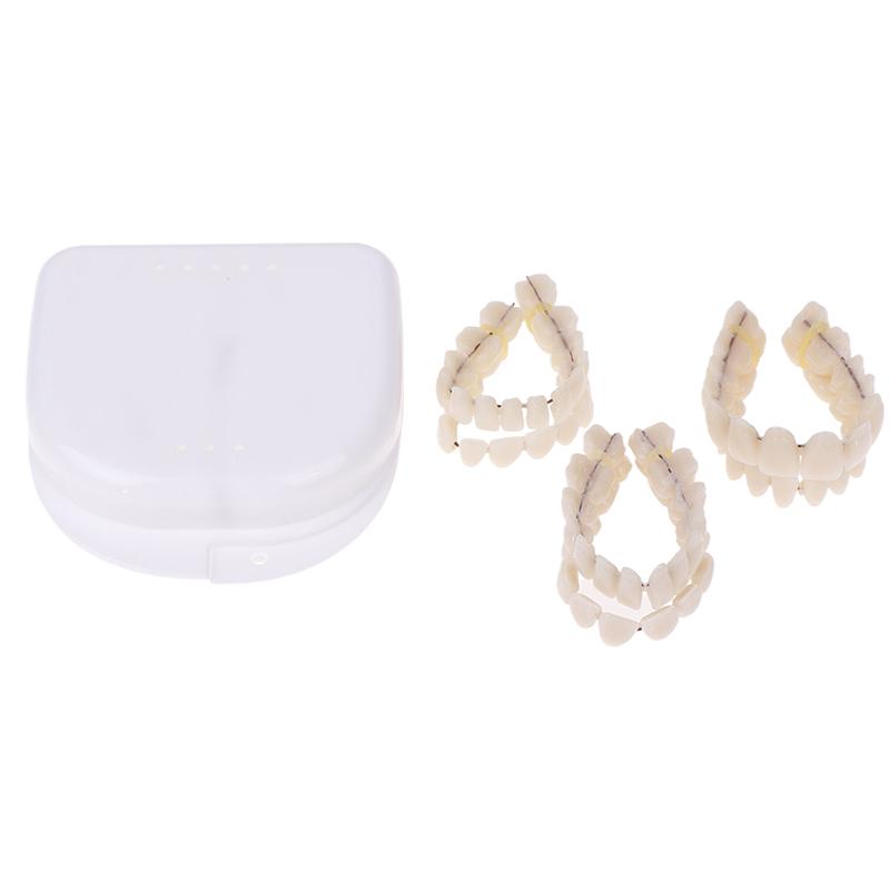 Boxed Resin Denture Upper Lower Teeth Full Mouth S/M/L Size Preformed Dentition Oral Care Teaching Model