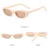 Vintage Retro Cat Eye Sunglasses Fashion Small Frame Shades UV400 Eyewear for Women