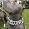 Rustfrit Stål Guld Hundehalsbånd Halskæde Snor, 32mm, Populær
