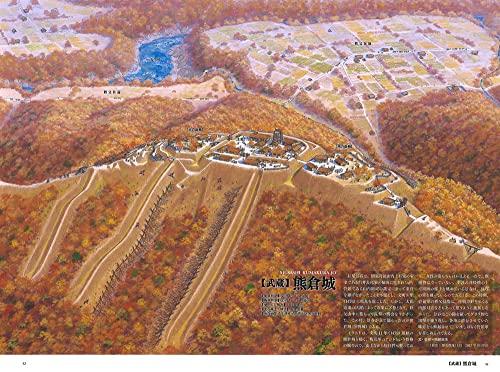 Wide & Panoramic Bird's-Eye View & Reconstruction Illustrations of Japanese Castles