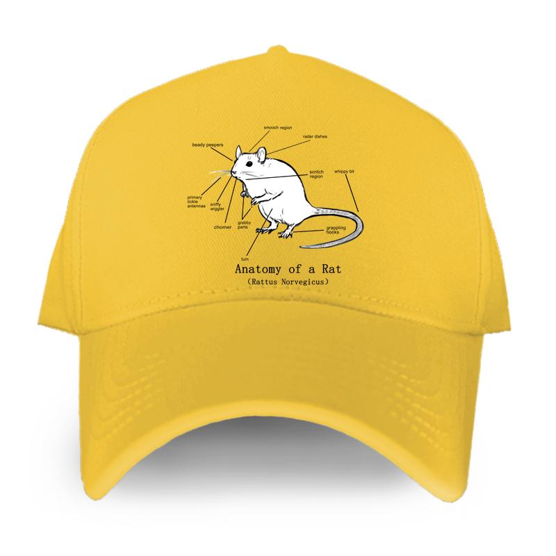 

Анатомия крысы - (Раттус Норвегикус) Популярная летняя бейсболка унисекс, забавная женская кепка унисекс, модная шляпа в стиле хип-хоп Adjustable