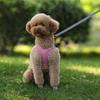 Colete para filhotes de cachorro e gato com coleira, malha respirável, tiras no peito para animais de estimação, para chihuahua, arreios york, coleira refletiva para caminhada de buldogue
