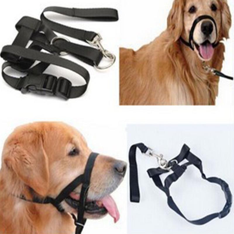 training muzzle leash