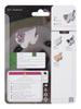 SOFTTHUMBNAIL Milk, Domestic Shorthair